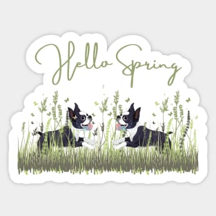 Boston Terrier Dog in Meadow with Hello Spring Sign Sticker